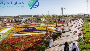 أفضل مكتب عقار في الطائف